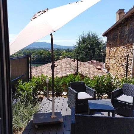 Apartament Trevoux: Loft Ravissant Avec Terrasse Zewnętrze zdjęcie