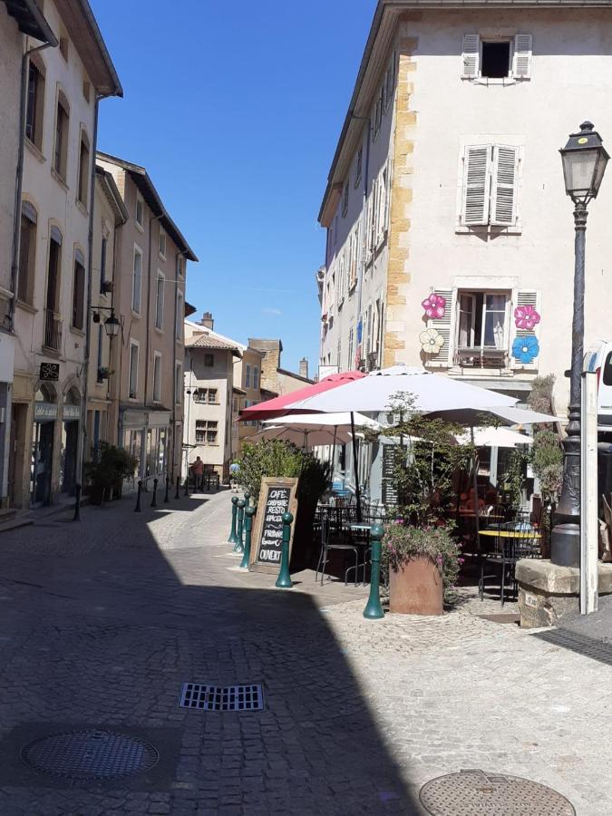 Apartament Trevoux: Loft Ravissant Avec Terrasse Zewnętrze zdjęcie