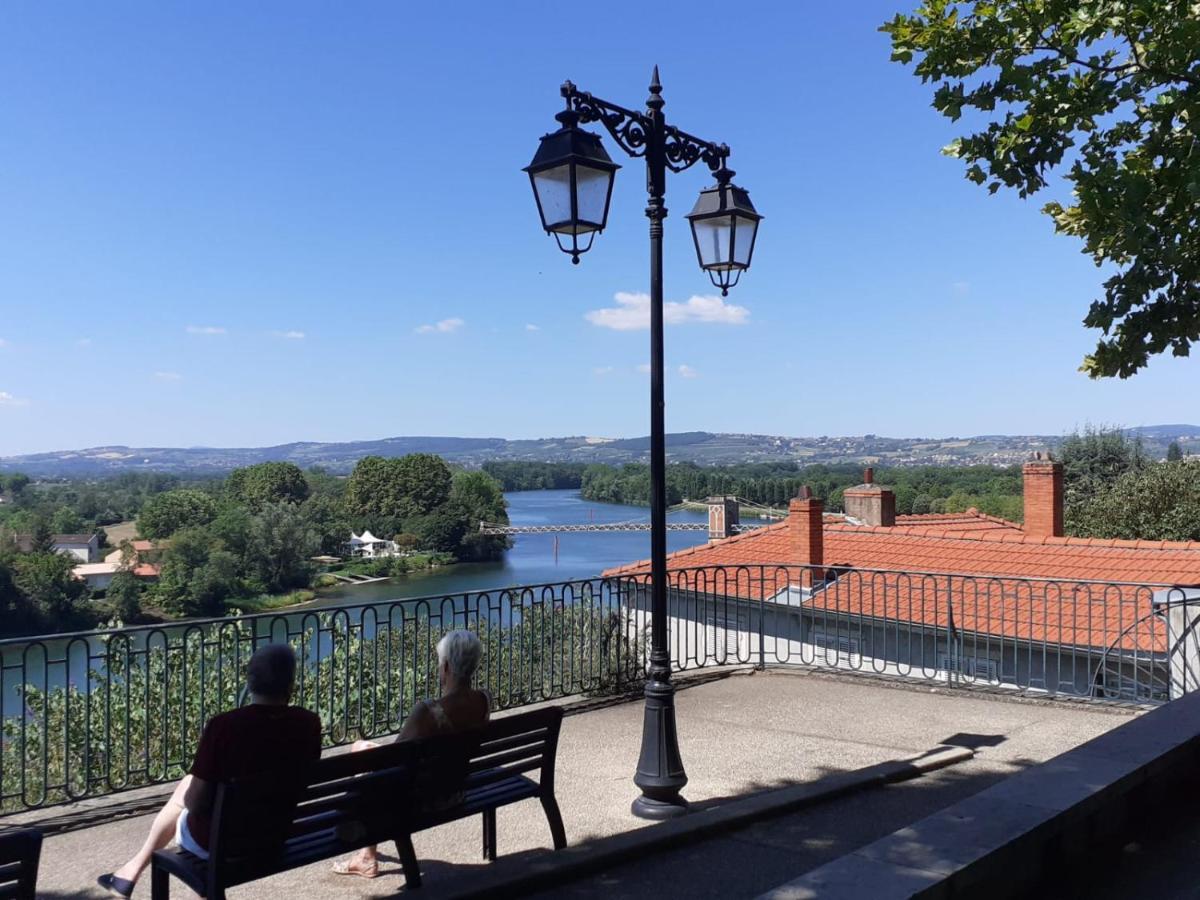 Apartament Trevoux: Loft Ravissant Avec Terrasse Zewnętrze zdjęcie