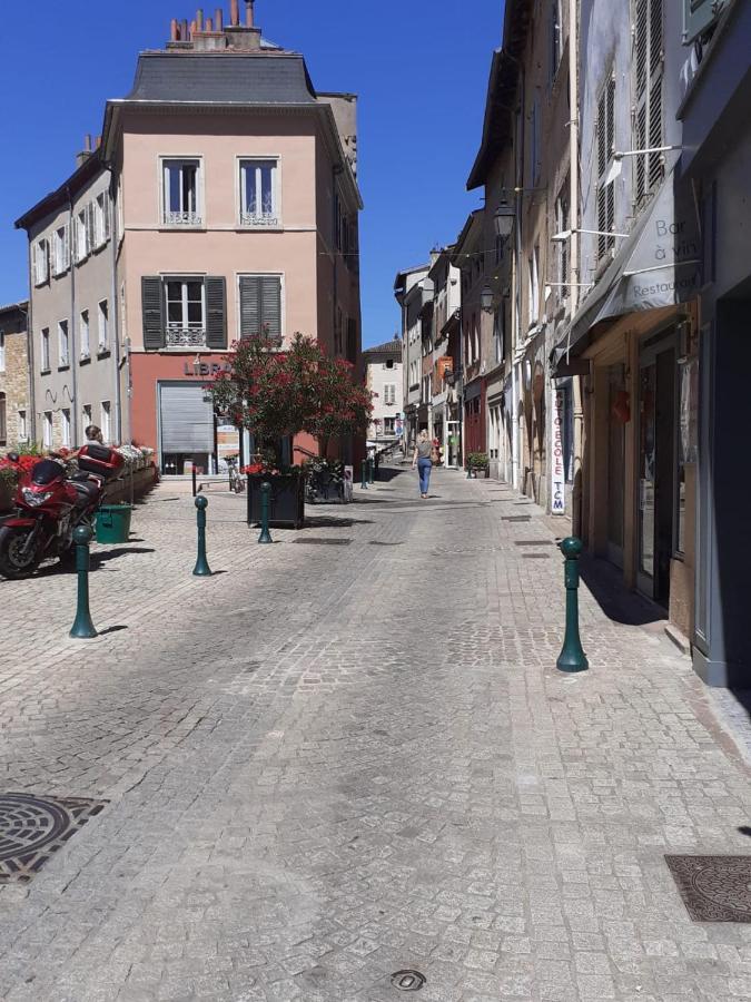 Apartament Trevoux: Loft Ravissant Avec Terrasse Zewnętrze zdjęcie