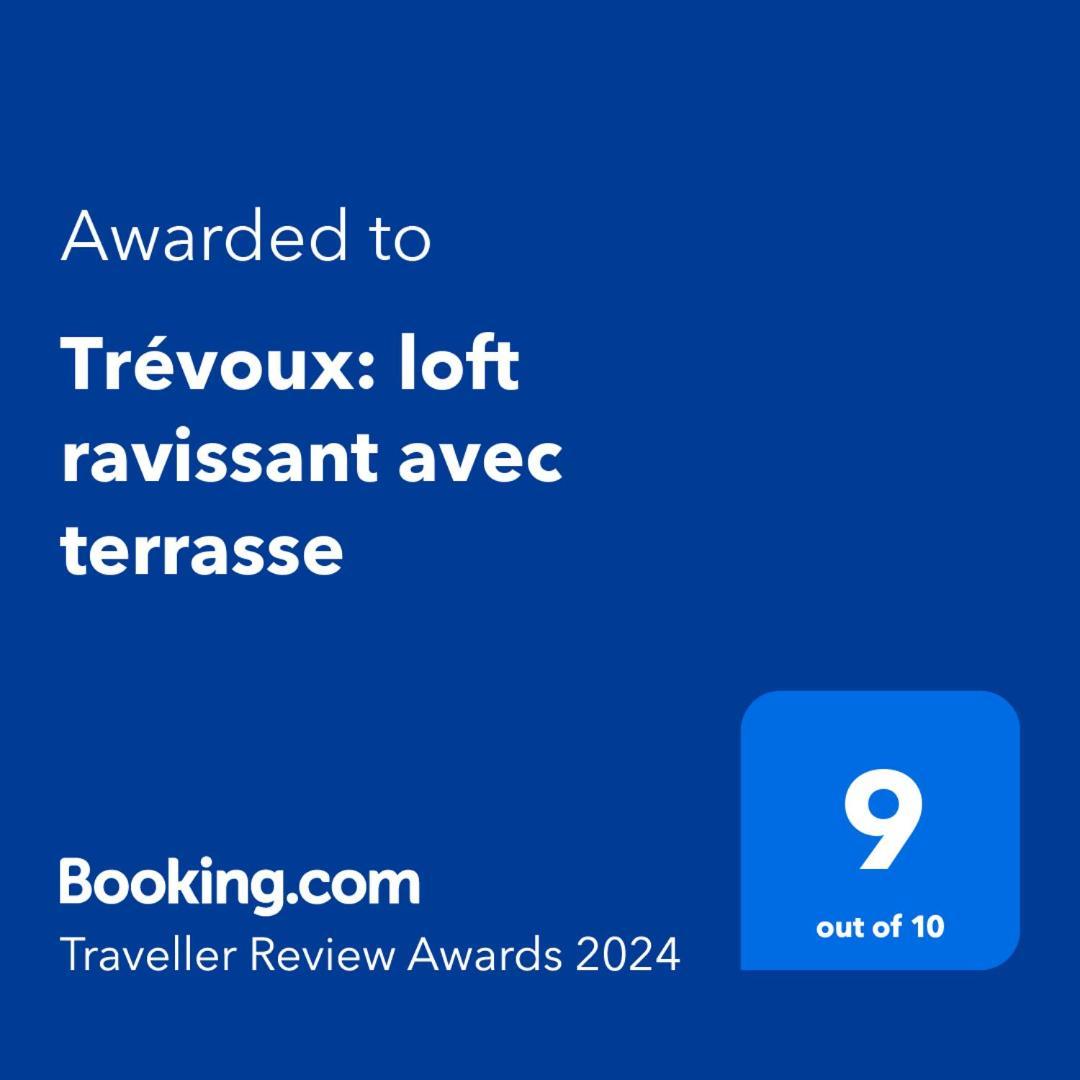 Apartament Trevoux: Loft Ravissant Avec Terrasse Zewnętrze zdjęcie